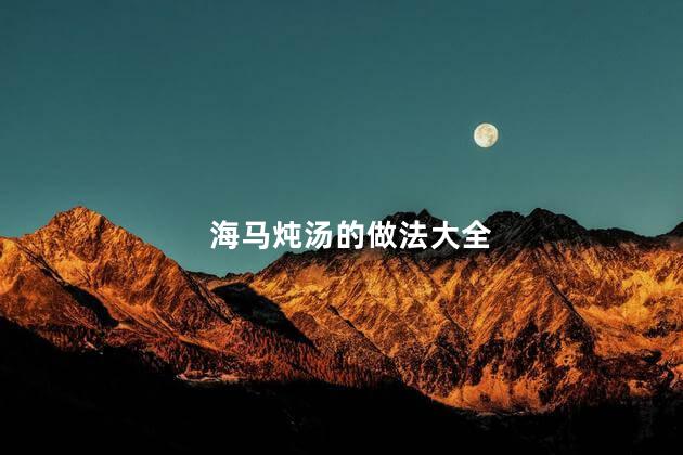 海马炖汤的做法大全