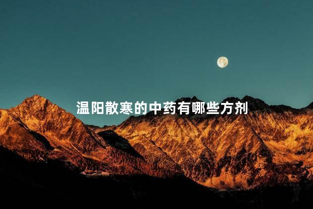 温阳散寒的中药有哪些方剂