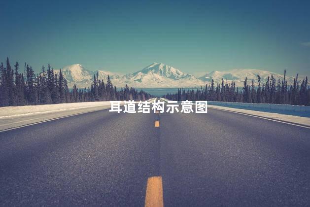 耳道结构示意图，耳道结构耳屎位置