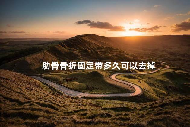 肋骨骨折固定带多久可以去掉