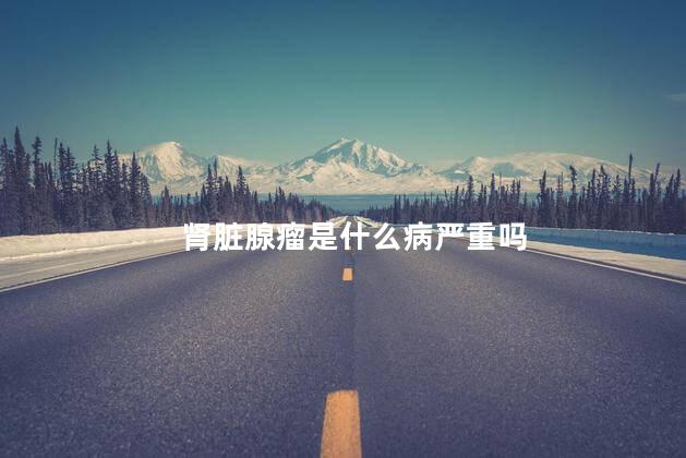 肾脏腺瘤是什么病严重吗