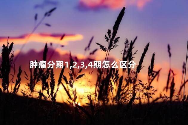 肿瘤分期1,2,3,4期怎么区分