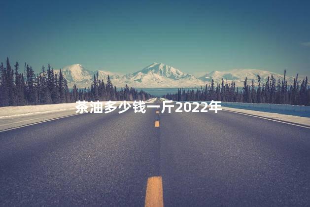 茶油多少钱一斤2022年