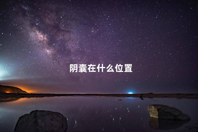 阴囊在什么位置，阴囊是什么部位