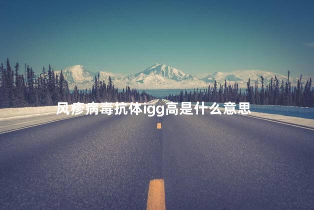 风疹病毒抗体igg高是什么意思