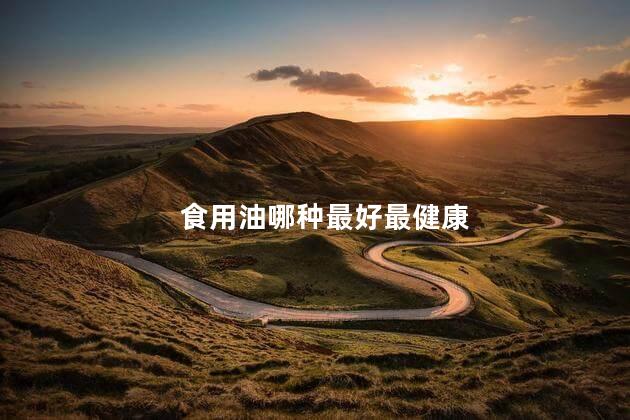 食用油哪种最好最健康