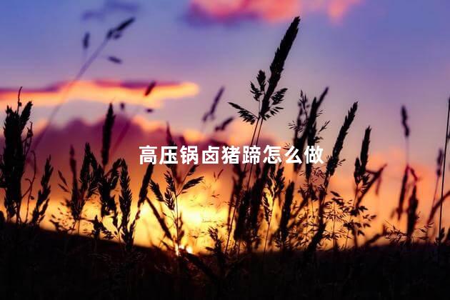 高压锅卤猪蹄怎么做