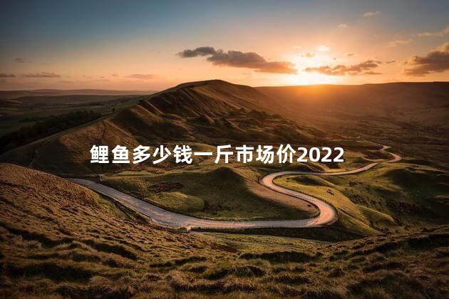 鲤鱼多少钱一斤市场价2022，鲤鱼多少钱一斤？