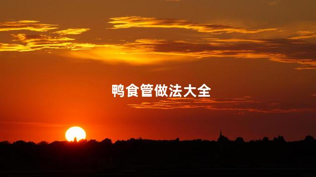 鸭食管做法大全