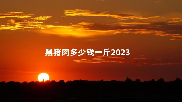 黑猪肉多少钱一斤2023